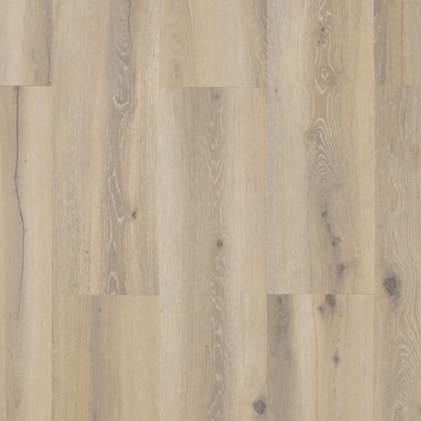 Castell Premium 871