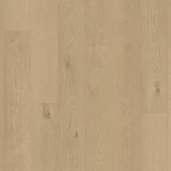 Castell Premium 876