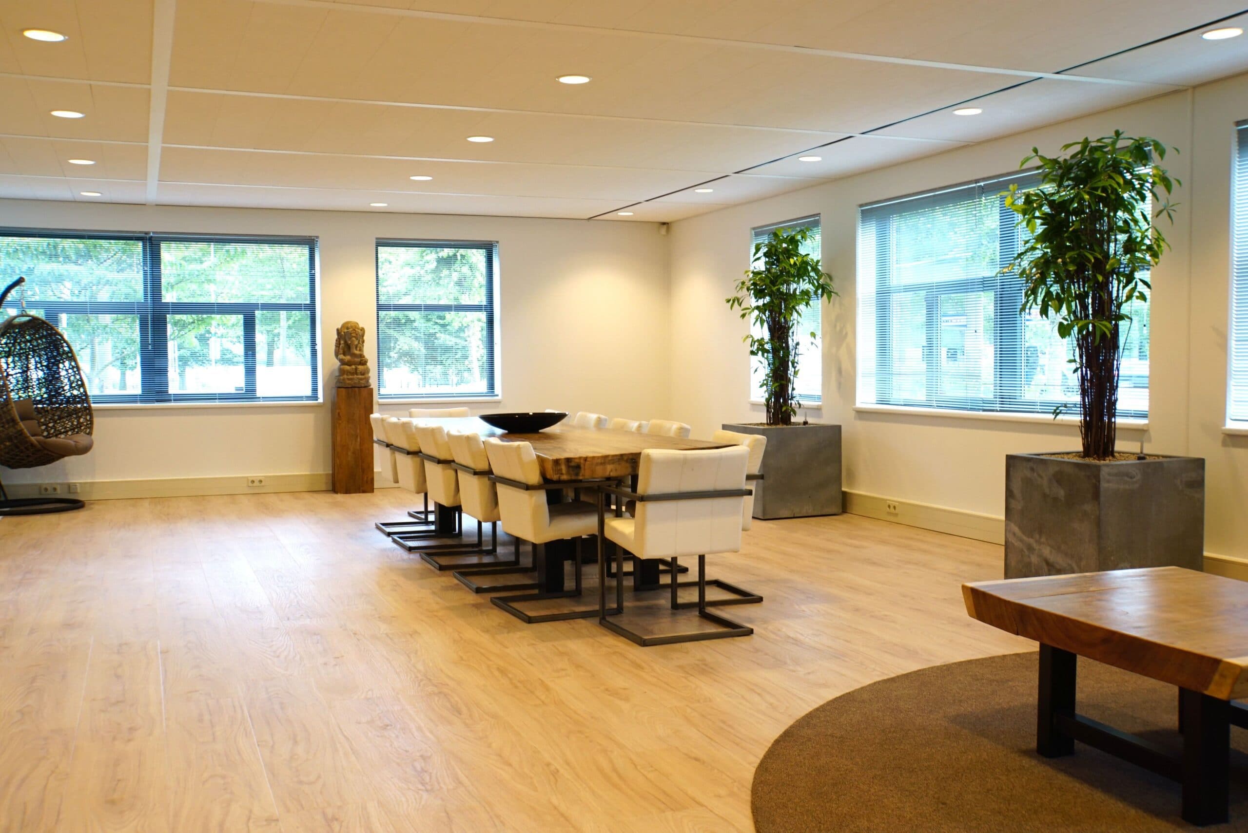 Sense VLN530 Visgraat