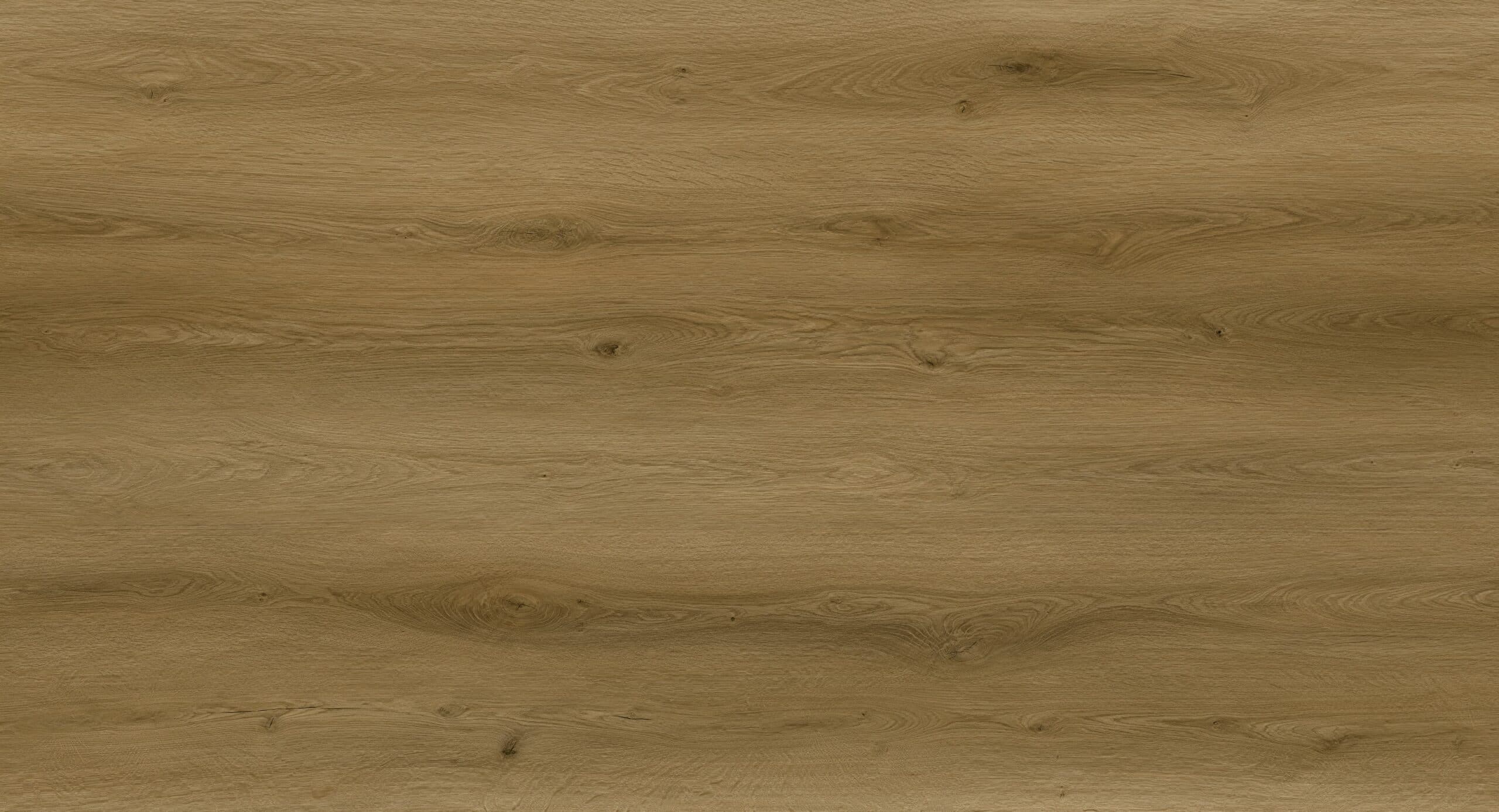 Sense EXL550 XXL Click