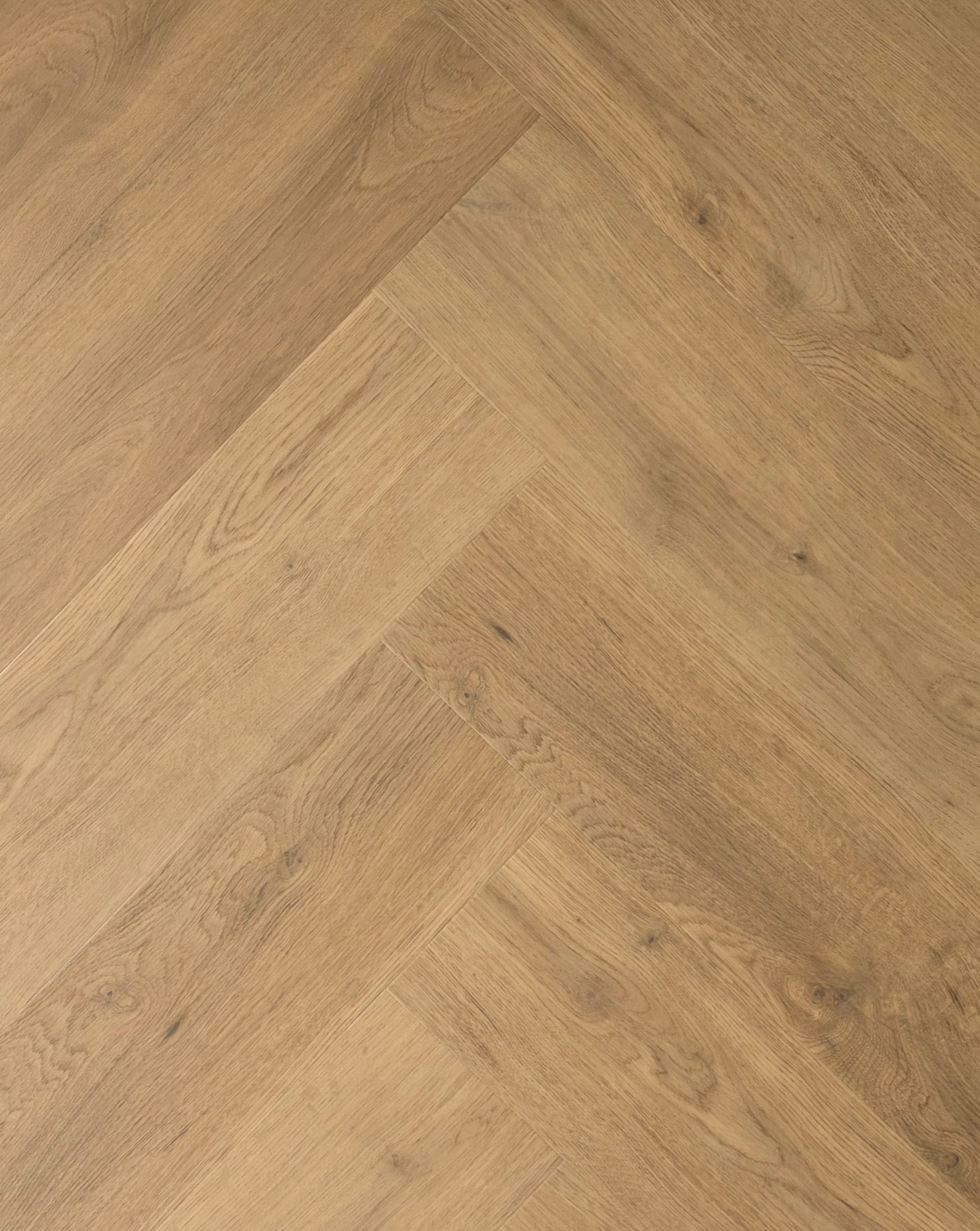Sense VLN380 Visgraat